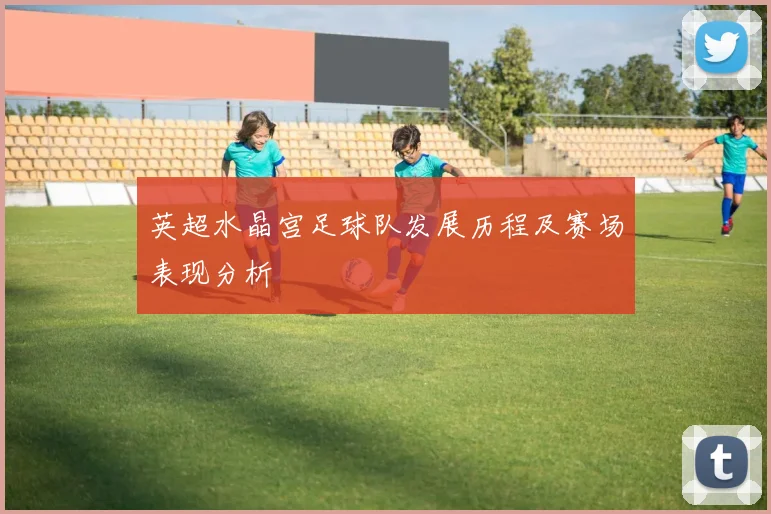 英超水晶宫足球队发展历程及赛场表现分析