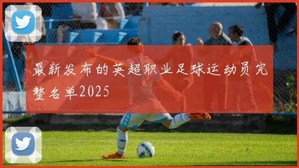 最新发布的英超职业足球运动员完整名单2025