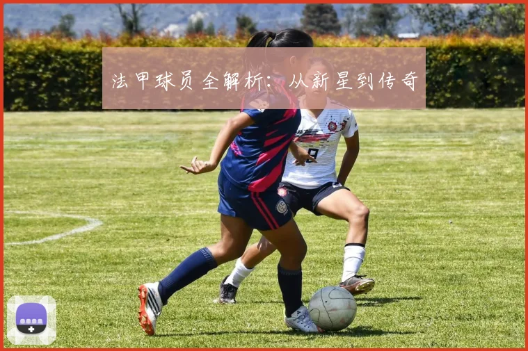 法甲球员全解析：从新星到传奇